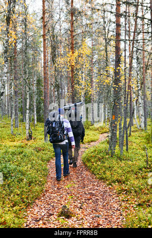 Escursionisti in boschi di betulla sul sentiero Karhunkierros - la grande escursione con gli orsi nel Circolo polare Artico, Lapponia, Finlandia Foto Stock