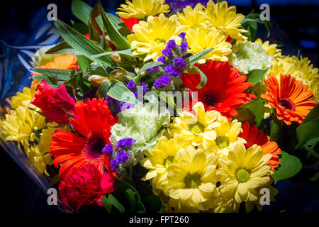 Mazzo di fiori misti. Foto Stock