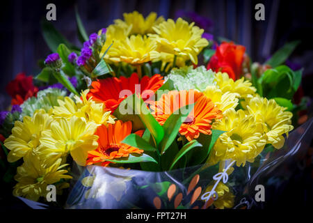 Mazzo di fiori misti. Foto Stock