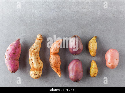 Diversi tipi di patate lay piatto con spazio di copia Foto Stock