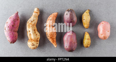 Diversi tipi di patate piatto adagiare sulla superficie di pietra. Foto Stock