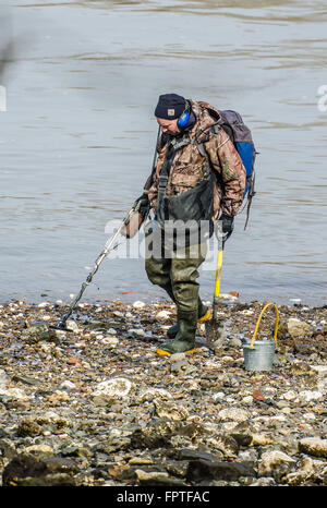 Con licenza "Mudlark" che utilizza un metal detector per trovare oggetti preziosi o storici lungo la riva del Tamigi a Battersea, Londra, Regno Unito Foto Stock