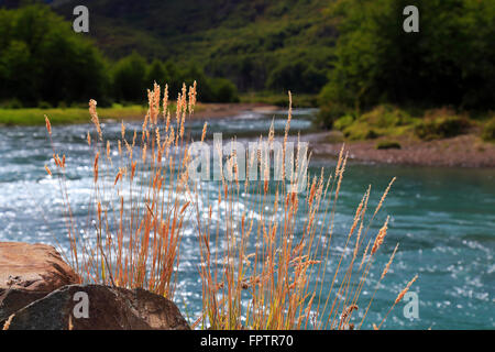 Fiume e cascata a El Chalten surrounduings. Santa Cruz Argentina. Foto Stock