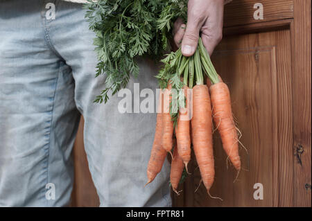 La sezione centrale di un uomo con mazzetto di carote nella sua mano nella parte anteriore del negozio integrali, Baviera, Germania Foto Stock