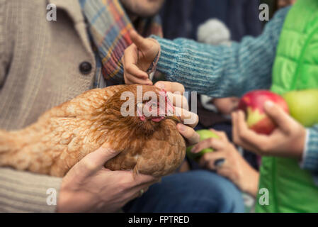 Padre e figlio di accarezzare uccello di pollo, Baviera, Germania Foto Stock