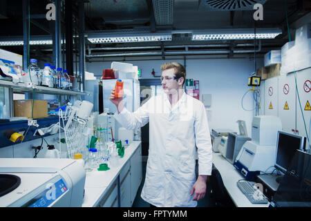 Giovane maschio scienziato che lavora in un laboratorio di farmacia, Freiburg im Breisgau, Baden-Württemberg, Germania Foto Stock
