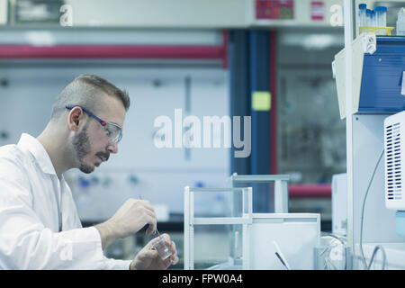 Giovane maschio scienziato che lavora in un laboratorio di farmacia, Freiburg im Breisgau, Baden-Württemberg, Germania Foto Stock