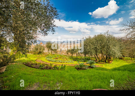 Spettacolare vista sui tetti di Firenze dal parco Foto Stock