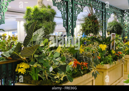 New York, Stati Uniti d'America. Xx marzo, 2016. Macy's viaggio transcontinentale in fiori attira l attenzione. Credito: Patti McConville/Alamy Live News Foto Stock