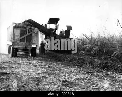 1962 - Honduras britannico - mondo della nuovissima hot-spot : Honduras britannico, l' unica colonia britannica in America centrale, sembra che potrebbe rapidamente ecome il centro di un nuovo internazionale flare-up. Entro i prossimi giorni, è inteso, la Royal Navy attacco portaerei Ark Royal, con 30 Da Buccaneer e fantoccio bombardieri sul bordo, sarà arrivato a Belize, la più grande città ed ex capitale del 120 .000 - popolazione dipendenza. Altre sei navi e 4.000 truppe sono anche riportati come voce per Honduras britannico. La forza britannica è stato inviato a seguito di segnalazioni di truppe guatemalteco concentrate su t Foto Stock