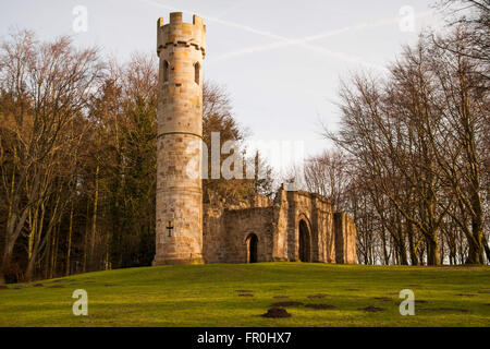 Il Gotico rovina, Hardwick Hall Station Wagon, Sedgefield, Co. Durham, England, Regno Unito Foto Stock