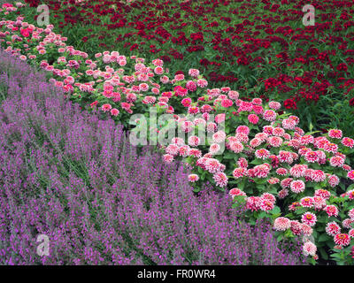 Letti di fiori in Oregon giardino, Silverton, Oregon Foto Stock