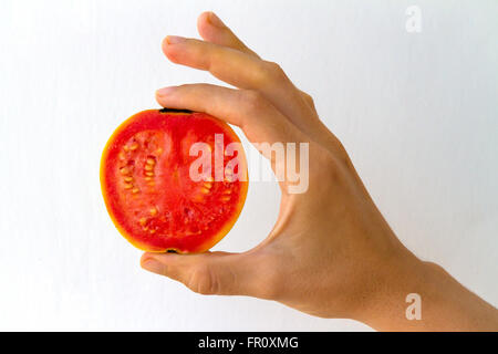 Un frutto guava, tagliate a metà, tenuto in mano di una giovane donna, isolato su bianco. Foto Stock