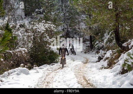 Motocicli a cavallo nella foresta in inverno con la neve Foto Stock