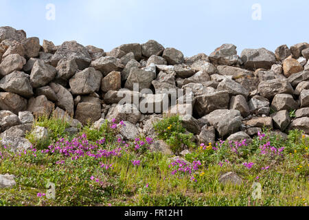 Decantatore della vecchia casa, Capo Dezhnev, la maggior parte orientale dell Eurasia, Estremo Oriente Russo Foto Stock