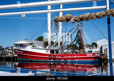 Florida Tarpon Springs, comunità greca, Boulevard Dodecanese, immersioni in spugna, flotta di barche commerciali, molo, FL160212015 Foto Stock