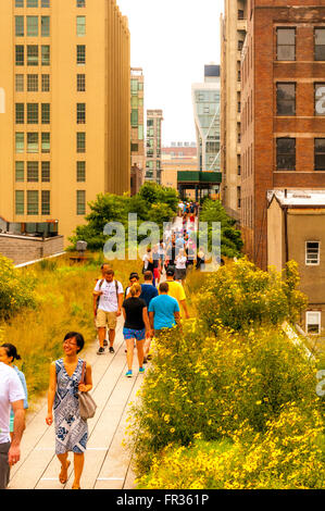La linea alta, New York City, Stati Uniti d'America. Foto Stock