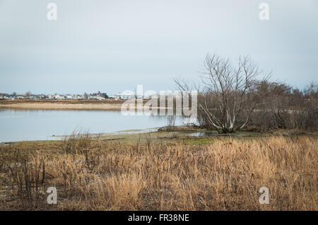 Vista su tutta la West Pond in Jamaica Bay Wildlife Refuge verso ampio canale, un waterside città suburbane nel Queens, a New York Foto Stock