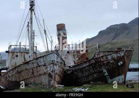 Arrugginimento della caccia alla balena barche spiaggiata nelle rovine di Grytviken stazione baleniera. Grytviken, Georgia del Sud Foto Stock