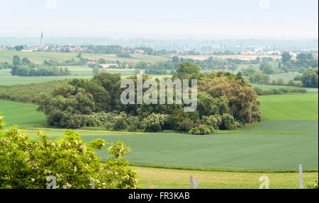 Scenario idilliaco presso la regione vinicola Rheinhessen intorno Loerzweiler nel Palatinato in Germania Foto Stock