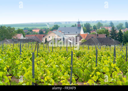 Scenario idilliaco presso la regione vinicola Rheinhessen intorno Loerzweiler nel Palatinato in Germania Foto Stock