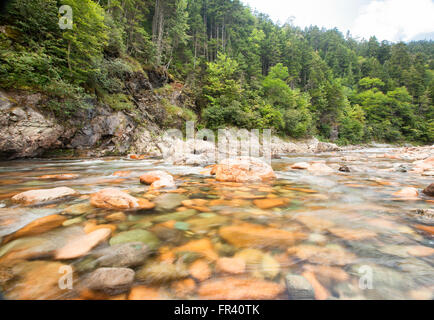 Grande fiume di salmoni in fundy national park new brunswick canada Foto Stock