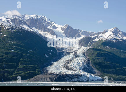 Il ghiacciaio di Smith College Fjord, Alaska Foto Stock