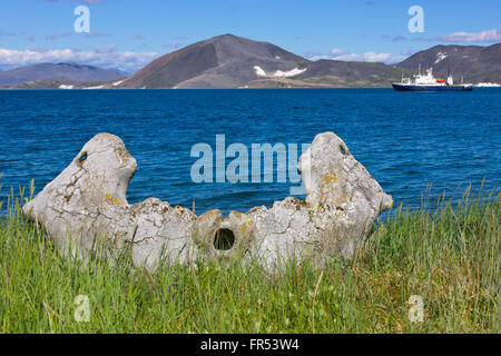 Whale osso mandibolare, Yttygran Isola del Mare di Bering, Estremo Oriente Russo Foto Stock