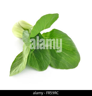 Bellissimo il cavolo cinese (cavolo cinese o Qing geng cai) isolati su sfondo bianco Foto Stock