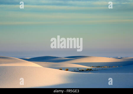 Bianco tranquillo duna di sabbia, White Sands, Nuovo Messico, Stati Uniti Foto Stock