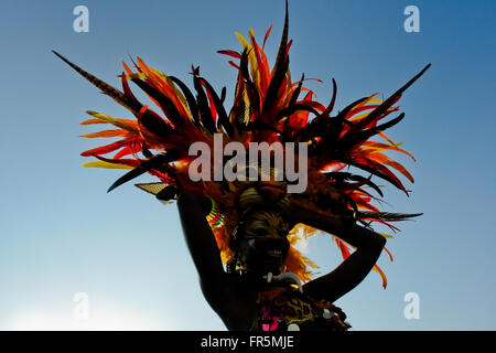 Una ragazza colombiana, avente un tiger mask, danze durante il carnevale di Barranquilla, Colombia. Foto Stock