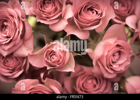 Grande mazzo di rose rosa in orizzontale Foto Stock