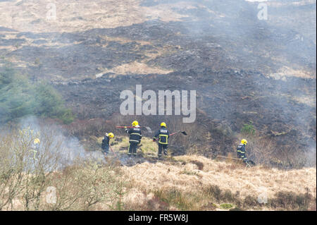 Ballydehob, Irlanda. Xxi marzo, 2016. Un fuoco d'erba che è iniziato ieri sera sulle pendici del monte Corrin bruciata di controllo sulla cima della montagna per tutta la notte e hanno devastato la terra circostante. Il servizio antincendio è stato chiamato questa mattina e vigili del fuoco può essere visto solo dopo aver estinto parte di blaze prima di passare alla battaglia più fiamme. Credito: Andy Gibson/Alamy Live News. Foto Stock