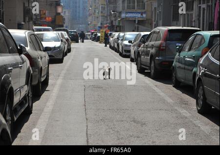 Tsingtao, Cina. 22 Mar, 2016. 21 marzo 2016: (solo uso editoriale. Cina) la mancanza di parcheggi hits Tsingtao come molte altre città in Cina, in modo che i residenti di mettere tutti roba come sedie, banchi bucke © SIPA Asia/ZUMA filo/Alamy Live News Foto Stock