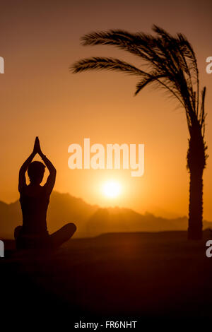 Silhouette di giovane donna seduta in sereno luogo tropicale accanto a Palm tree, guardando il sorgere del sole o impostazione in montagna, medita Foto Stock