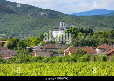 Repubblica di Macedonia, regione vinicola Demir Kapija, Popova Kula winery Foto Stock