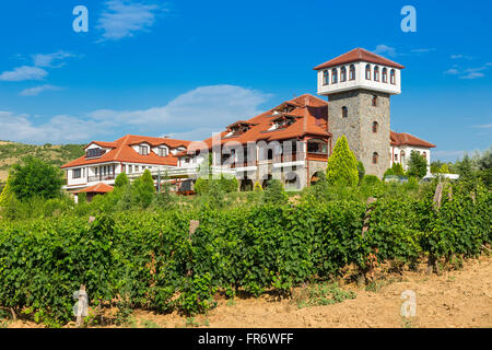 Repubblica di Macedonia, regione vinicola Demir Kapija, Popova Kula winery Foto Stock