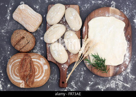 Pasta fresca per la produzione di pane con la ciabatta e seminato panini e pane di segale con guaine di grano ed erba di rosmarino e spolverata di farina Foto Stock