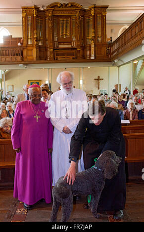 L'arcivescovo Tutu e l allora Arcivescovo di Canterbury presso la chiesa di Saint Mary Hay-on-Wye con il P. Richard Williams e il suo cane Foto Stock