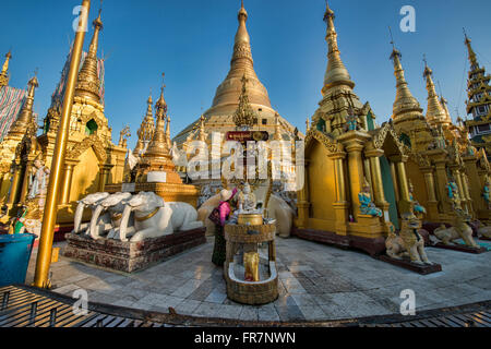 Golden Shwedagon Paya, il più sacro luogo di pellegrinaggio in Yangon, Myanmar Foto Stock