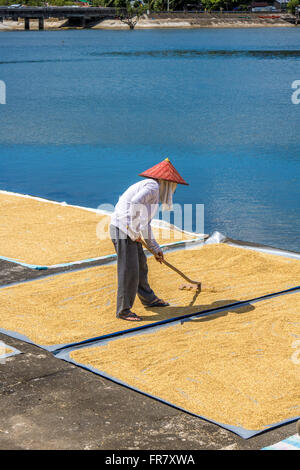 Filippine Leyte Baybay diffondendo il riso fuori ad asciugare accanto al mare Adrian Baker Foto Stock