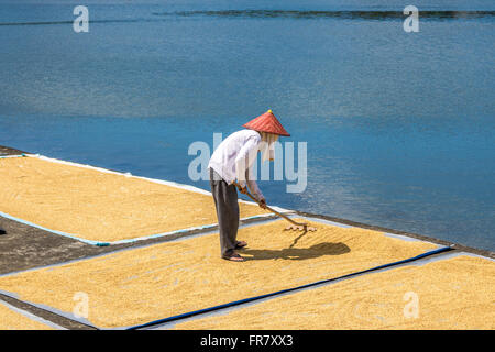 Filippine Leyte Baybay diffondendo il riso fuori ad asciugare accanto al mare Adrian Baker Foto Stock