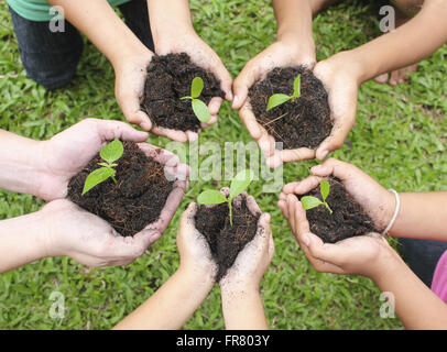 Mani alberello in superficie di suolo su erba verde dello sfondo. Foto Stock