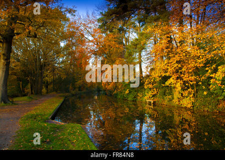 Autunno sul Basingstoke Canal vicino a Fleet Hampshire. Inghilterra, Regno Unito Foto Stock