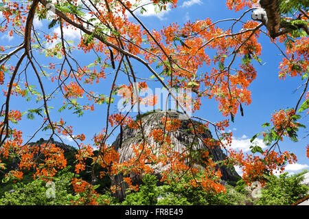 Pedra da Boca parco dello stato - regione Dungeon Foto Stock