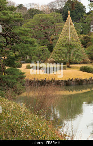 Giappone, Tokyo, giardino Rikugien, Foto Stock