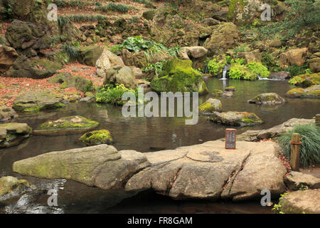 Giappone, Tokyo, giardino Rikugien, Foto Stock