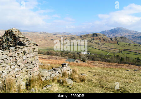 Eskdale nel distretto del Lago Foto Stock