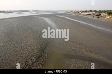 I letti di fango sul fiume Matla durante la bassa marea l'acqua nella città di Canning, India Foto Stock