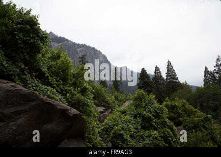 Caduta primaverile, il Parco Nazionale di Yosemite Foto Stock